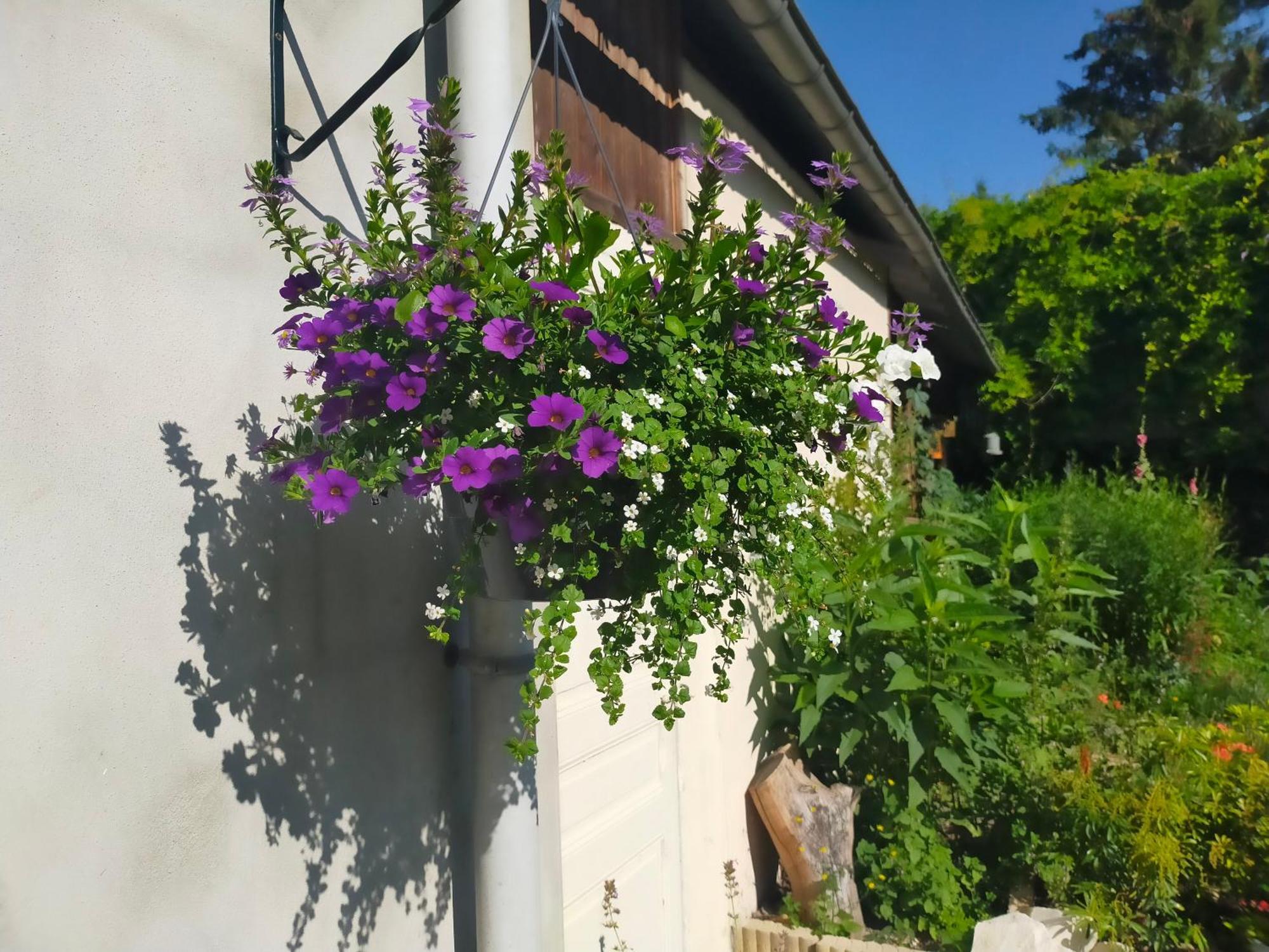 Logis51 Ville-sur-Tourbe Exterior foto