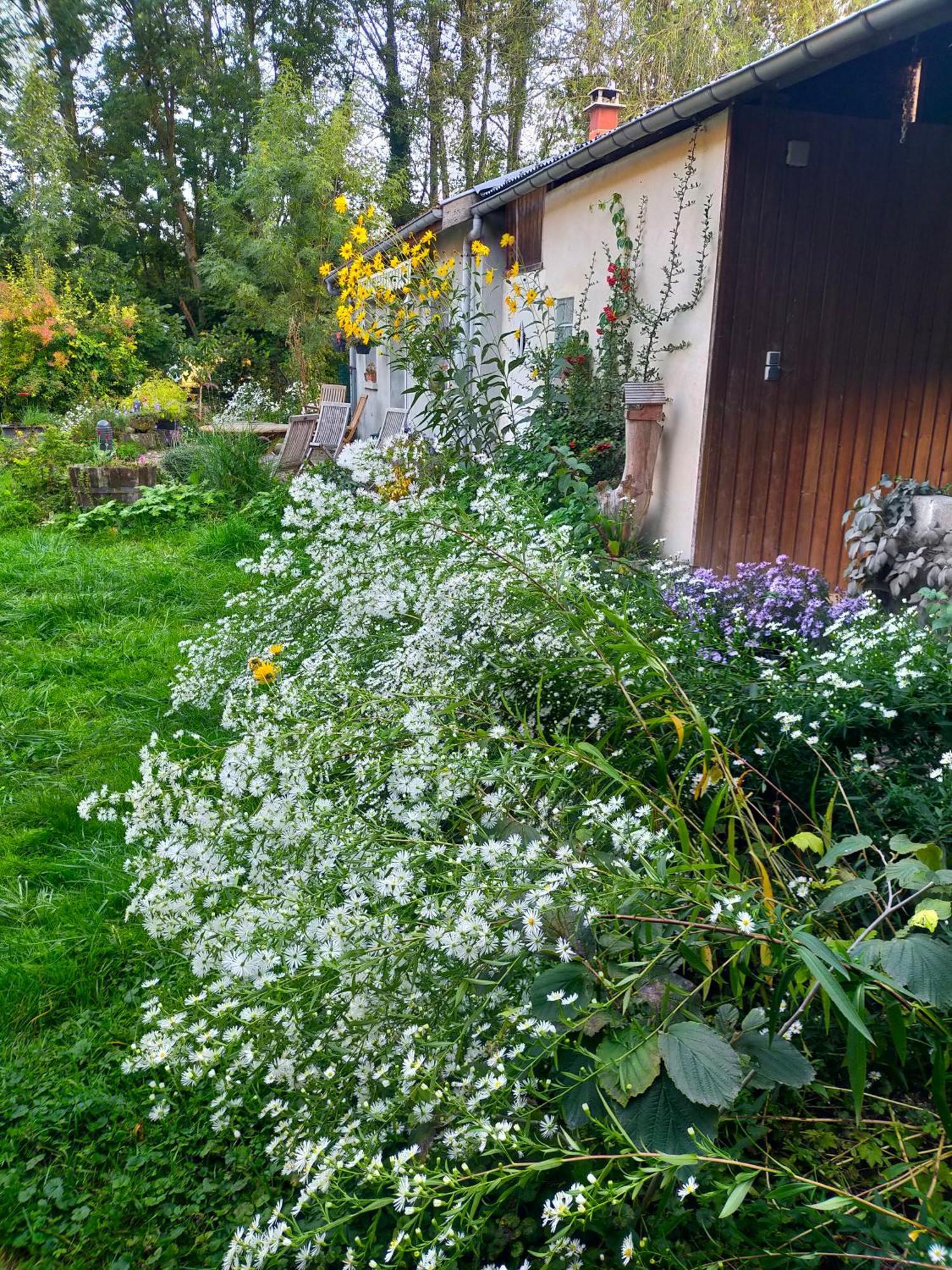 Logis51 Ville-sur-Tourbe Exterior foto