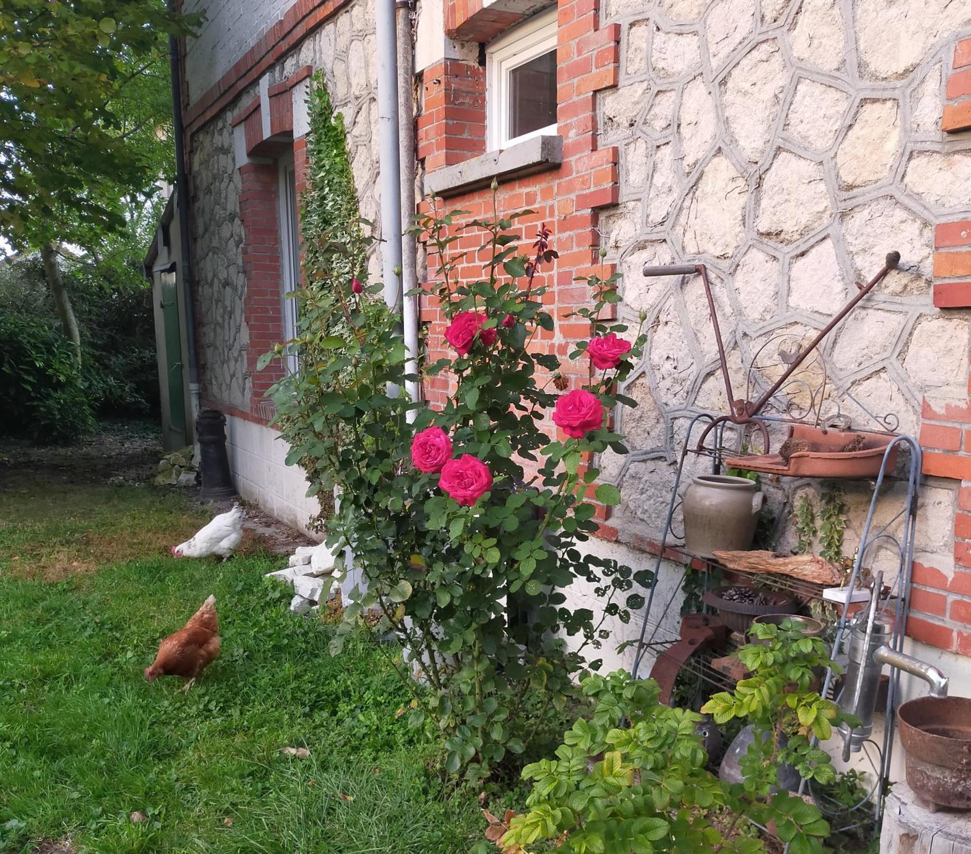 Logis51 Ville-sur-Tourbe Exterior foto